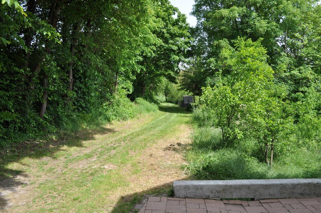 Ferienwohnung Kästle Bad Bergzabern Exterior foto